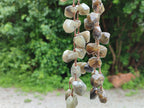 Polished Labradorite Free Form Beaded Necklace - Sold Per Item - From Madagascar - Toprock Gemstones and Minerals 