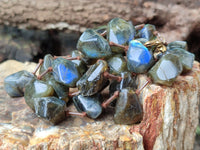 Polished Labradorite Free Form Beaded Necklace - Sold Per Item - From Madagascar - Toprock Gemstones and Minerals 