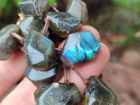 Polished Labradorite Free Form Beaded Necklace - Sold Per Item - From Madagascar - Toprock Gemstones and Minerals 
