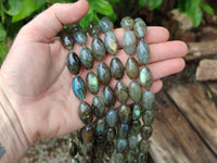 Polished Selected Flash Labradorite Oval Shaped Beaded Necklace - Sold Per Item - From Madagascar - Toprock Gemstones and Minerals 