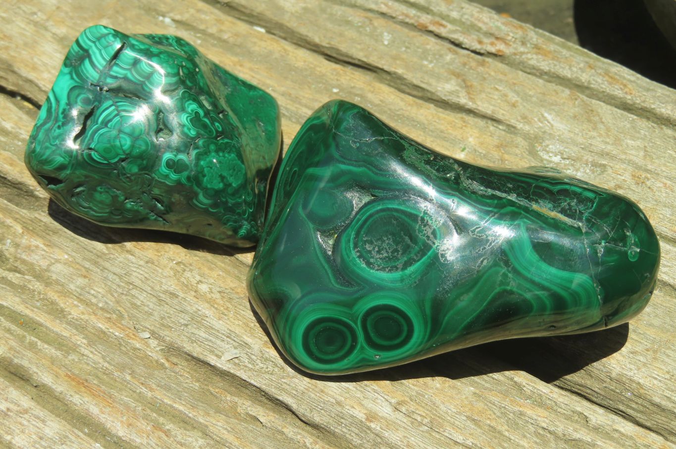 Polished Flower Banded Malachite Free Forms x 6 From Congo - Toprock Gemstones and Minerals 