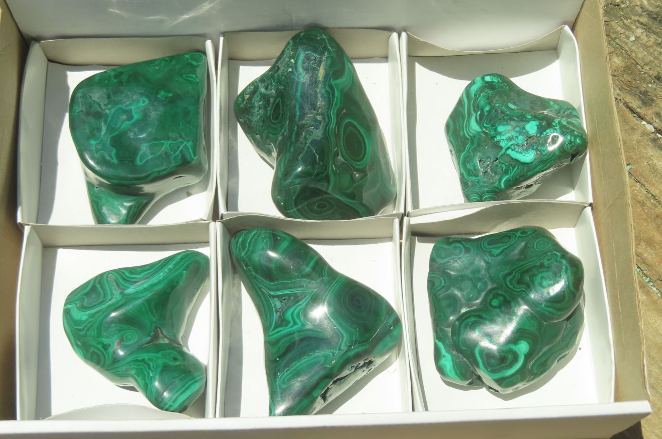 Polished Flower Banded Malachite Free Forms x 6 From Congo - Toprock Gemstones and Minerals 