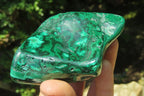 Polished Flower Banded Malachite Free Forms x 6 From Congo - Toprock Gemstones and Minerals 