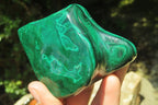 Polished Flower Banded Malachite Free Forms x 6 From Congo - Toprock Gemstones and Minerals 