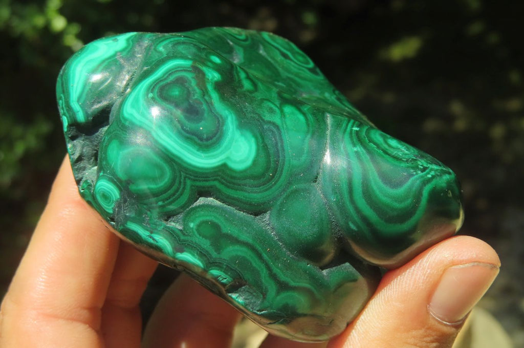 Polished Flower Banded Malachite Free Forms x 6 From Congo - Toprock Gemstones and Minerals 