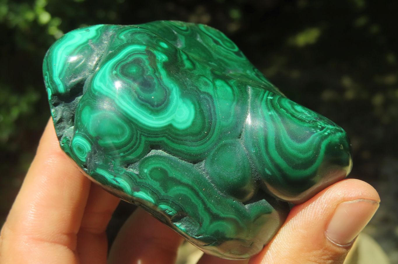 Polished Flower Banded Malachite Free Forms x 6 From Congo - Toprock Gemstones and Minerals 
