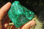 Polished Flower Banded Malachite Free Forms x 6 From Congo - Toprock Gemstones and Minerals 