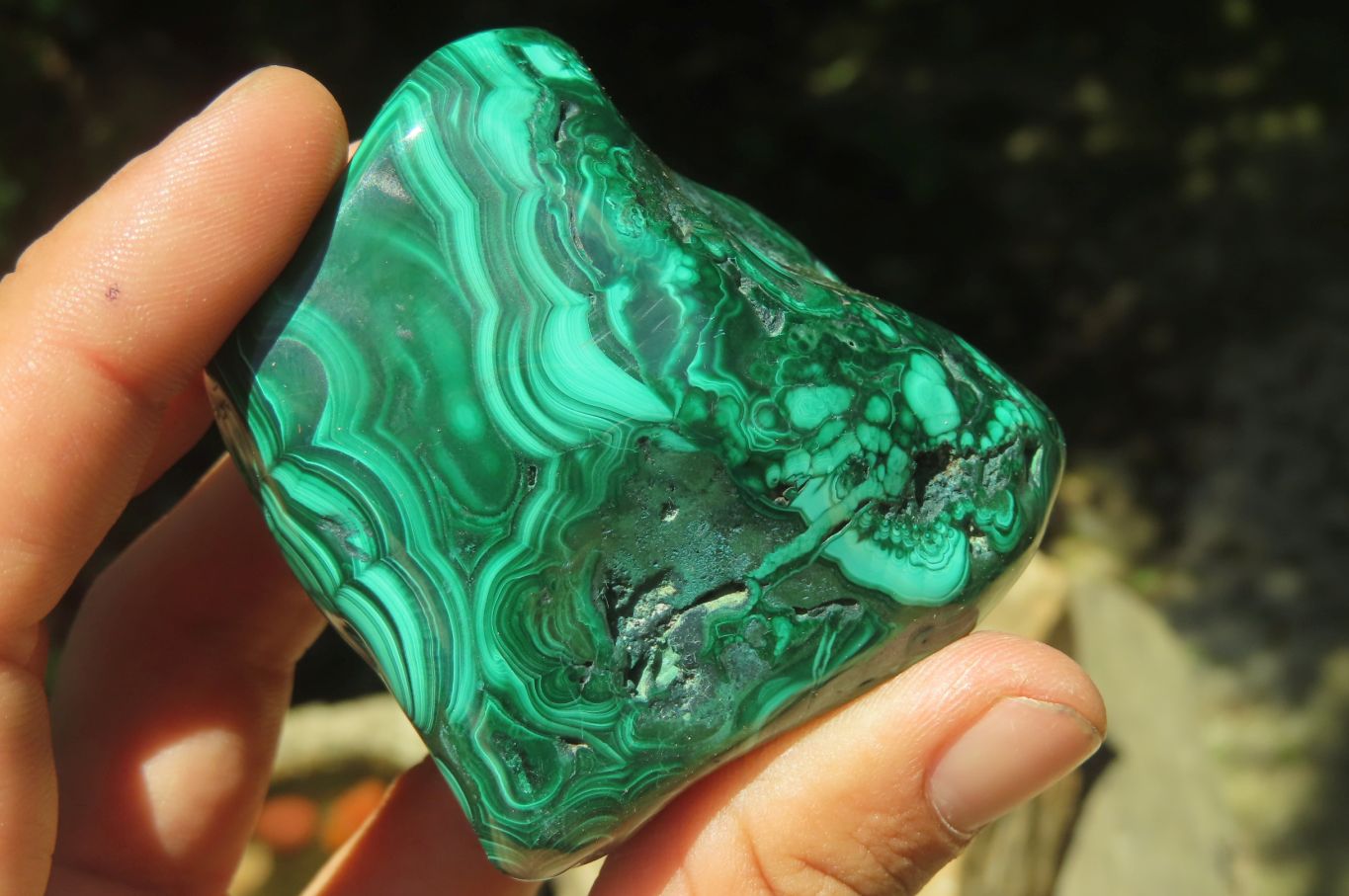 Polished Flower Banded Malachite Free Forms x 6 From Congo - Toprock Gemstones and Minerals 