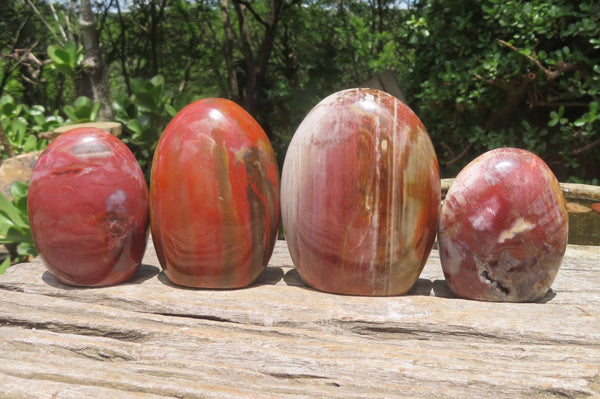 Polished Podocarpus Petrified Wood Standing Free Forms x 4 From Mahajanga, Madagascar - Toprock Gemstones and Minerals 