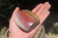 Polished Podocarpus Petrified Wood Standing Free Forms x 4 From Mahajanga, Madagascar - Toprock Gemstones and Minerals 