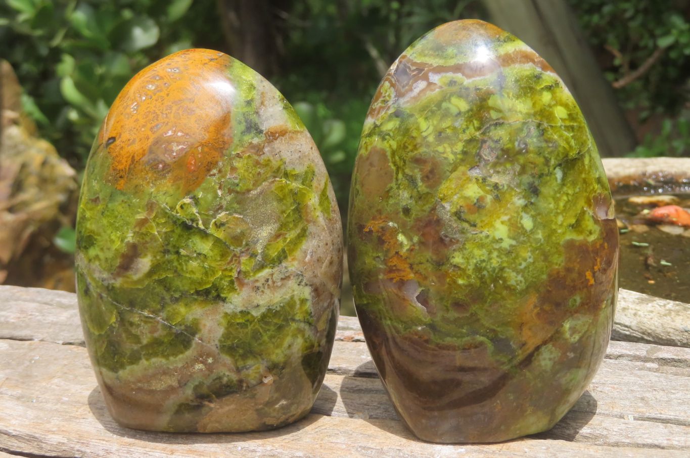 Polished Green Opal Standing Free Forms x 2 From Antsirabe, Madagascar - Toprock Gemstones and Minerals 
