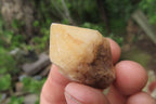 Natural Pineapple Candle Quartz Crystals x 70 From Antsirabe, Madagascar - Toprock Gemstones and Minerals 