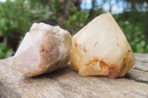 Natural Pineapple Candle Quartz Crystals x 70 From Antsirabe, Madagascar - Toprock Gemstones and Minerals 