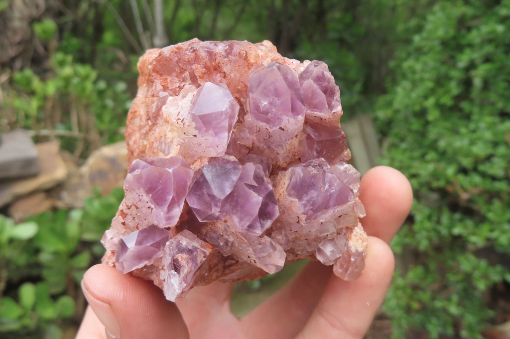 Natural Sugar Amethyst Quartz Clusters x 2 from Solwezi, Zambia - Toprock Gemstones and Minerals 