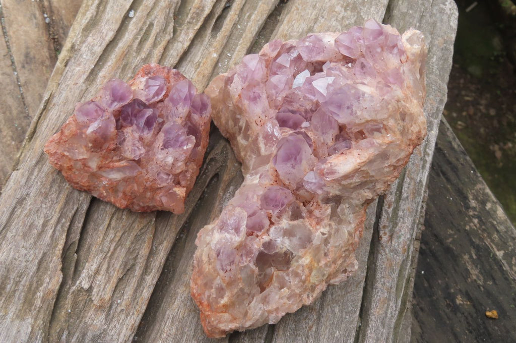 Natural Sugar Amethyst Quartz Clusters x 2 from Solwezi, Zambia - Toprock Gemstones and Minerals 