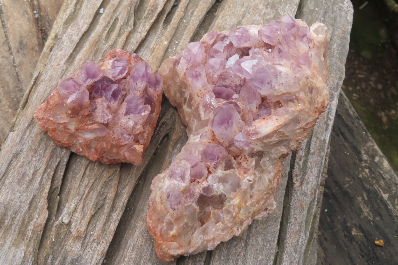 Natural Sugar Amethyst Quartz Clusters x 2 from Solwezi, Zambia - Toprock Gemstones and Minerals 