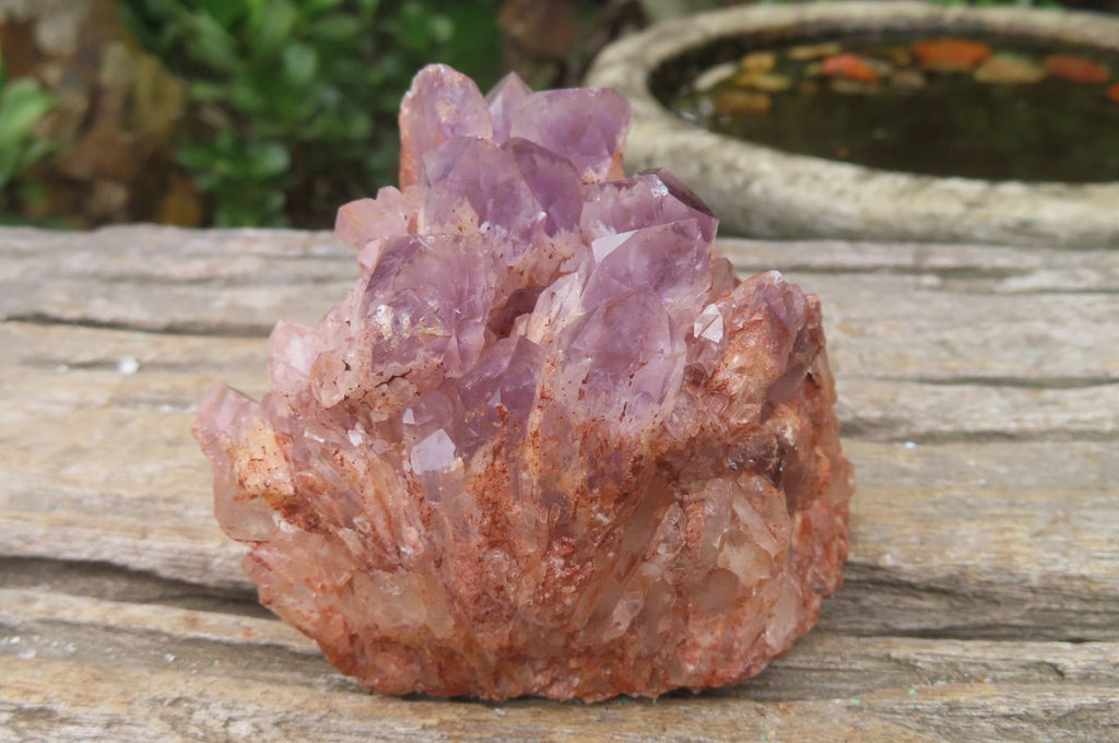 Natural Sugar Amethyst Quartz Clusters x 2 from Solwezi, Zambia - Toprock Gemstones and Minerals 