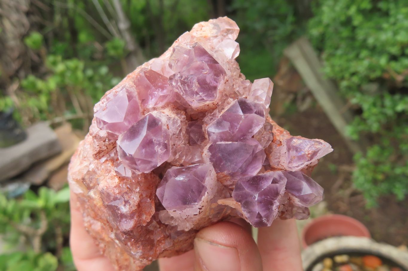 Natural Sugar Amethyst Quartz Clusters x 2 from Solwezi, Zambia - Toprock Gemstones and Minerals 