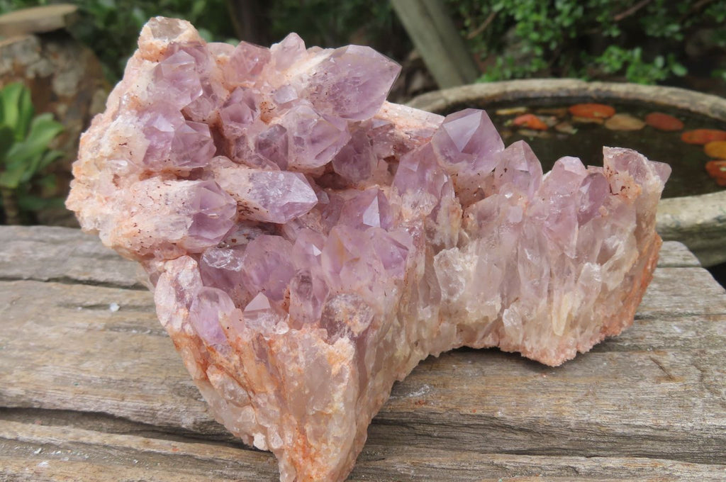 Natural Sugar Amethyst Quartz Clusters x 2 from Solwezi, Zambia - Toprock Gemstones and Minerals 