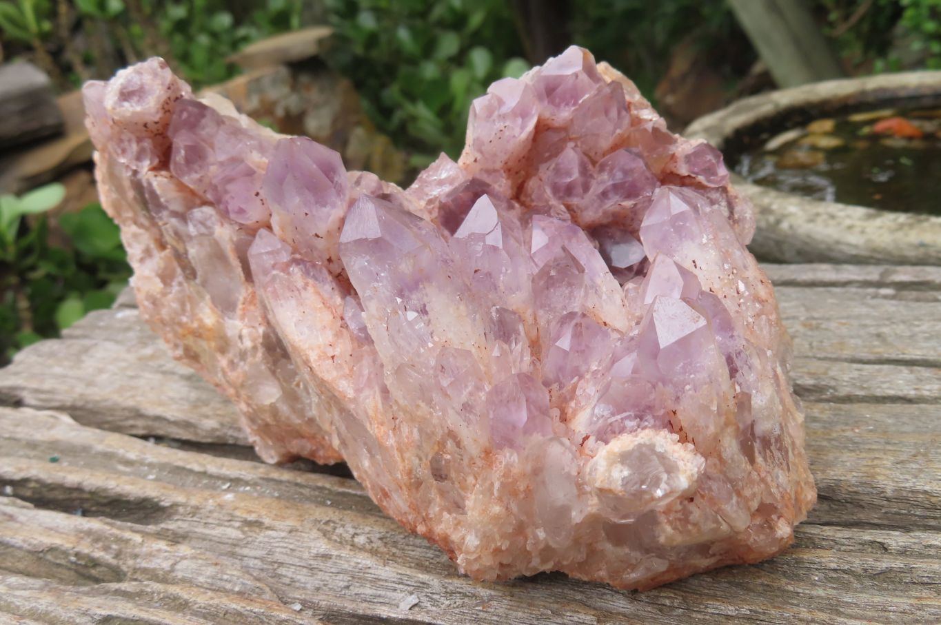 Natural Sugar Amethyst Quartz Clusters x 2 from Solwezi, Zambia - Toprock Gemstones and Minerals 