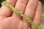 Polished Peridot Beaded Tumble Chip Necklace - Sold Per Item - From Zambia - Toprock Gemstones and Minerals 