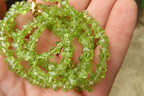 Polished Peridot Beaded Tumble Chip Necklace - Sold Per Item - From Zambia - Toprock Gemstones and Minerals 