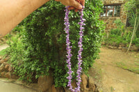 Polished Chevron Amethyst Hawaiian Style Beaded Tumble Chip Necklace - Sold Per Item - From Zambia - Toprock Gemstones and Minerals 