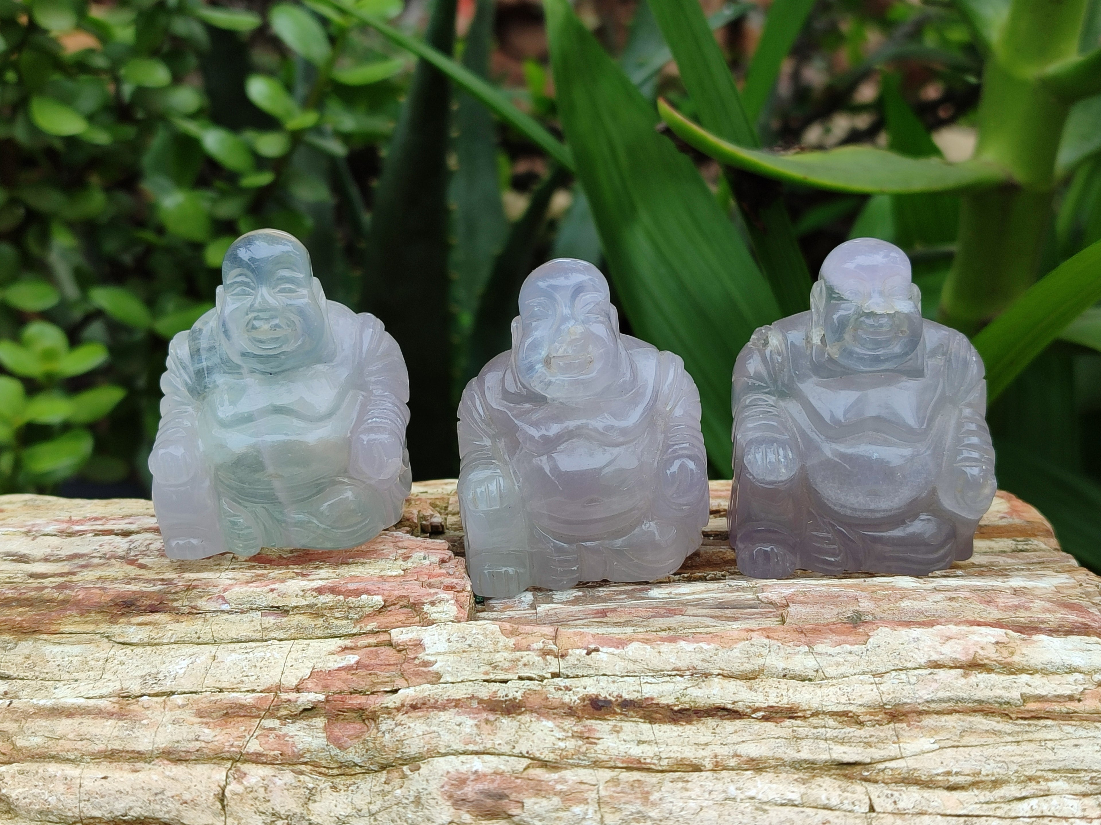 Polished Mini Rainbow Fluorite Buddha Carvings - sold per item - From Uis, Namibia - Toprock Gemstones and Minerals 