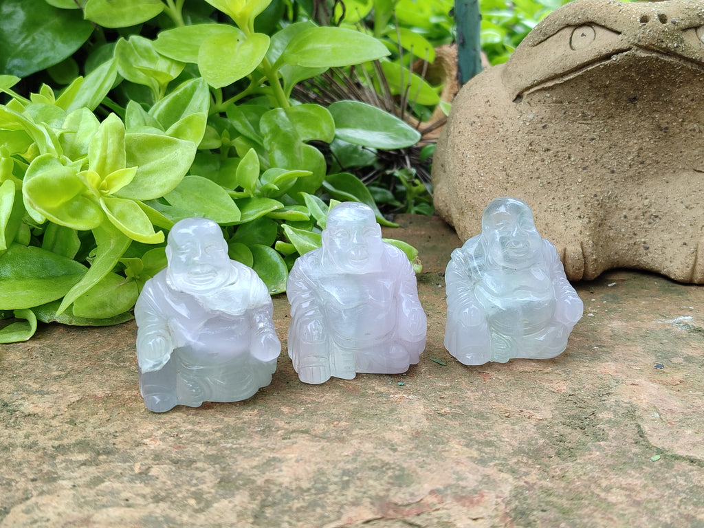 Polished Mini Rainbow Fluorite Buddha Carvings - sold per item - From Uis, Namibia - Toprock Gemstones and Minerals 