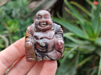 Polished Mini Banded Tiger Iron Jasper Buddha Carvings - sold per item - From Australia - Toprock Gemstones and Minerals 