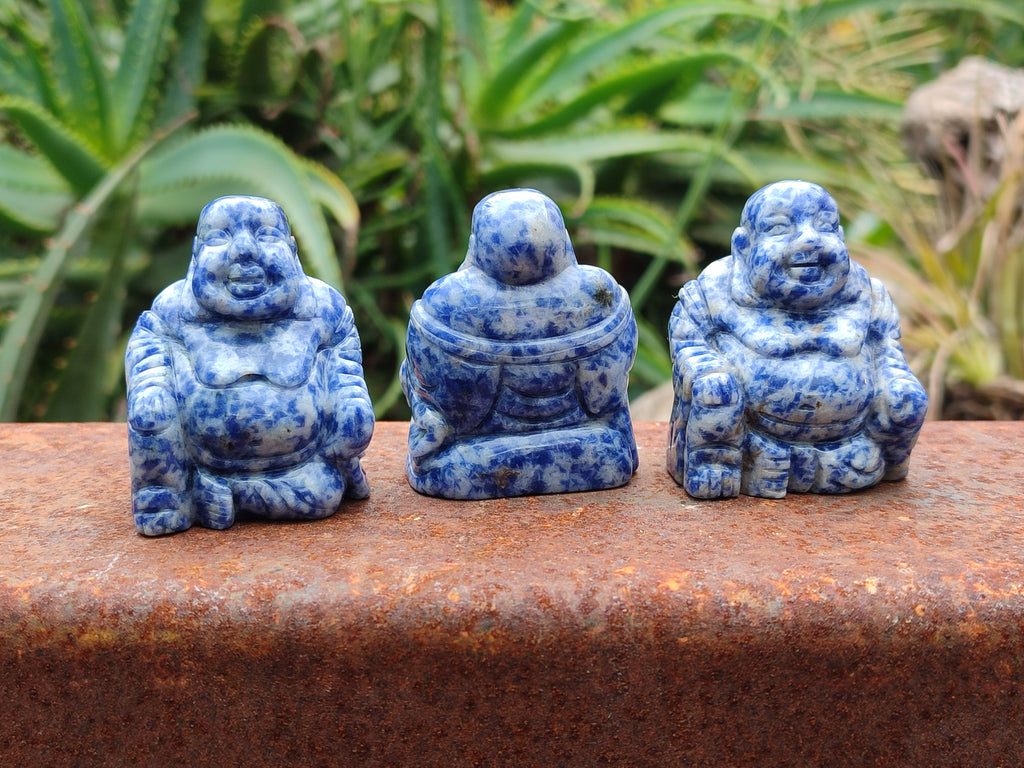 Polished Mini Sodalite Buddha Carvings - sold per item - From Brazil - Toprock Gemstones and Minerals 