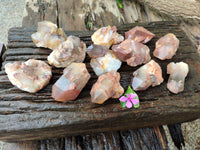 Natural Red Hematoid Quartz Clusters x 12 From Karoi, Zimbabwe