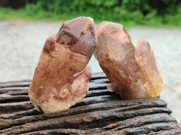 Natural Red Hematoid Quartz Clusters x 12 From Karoi, Zimbabwe