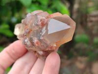 Natural Red Hematoid Quartz Clusters x 12 From Karoi, Zimbabwe