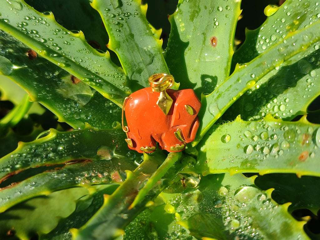 Polished Red Jasper Elephant Pendant with 9ct Gold Bail and Trim - Sold Per Item - From South Africa - Toprock Gemstones and Minerals 