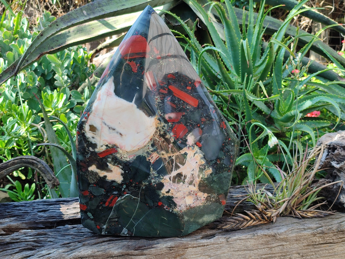 Polished Extra Large A Grade Bloodstone Display Piece x 1 From Swaziland - Toprock Gemstones and Minerals 