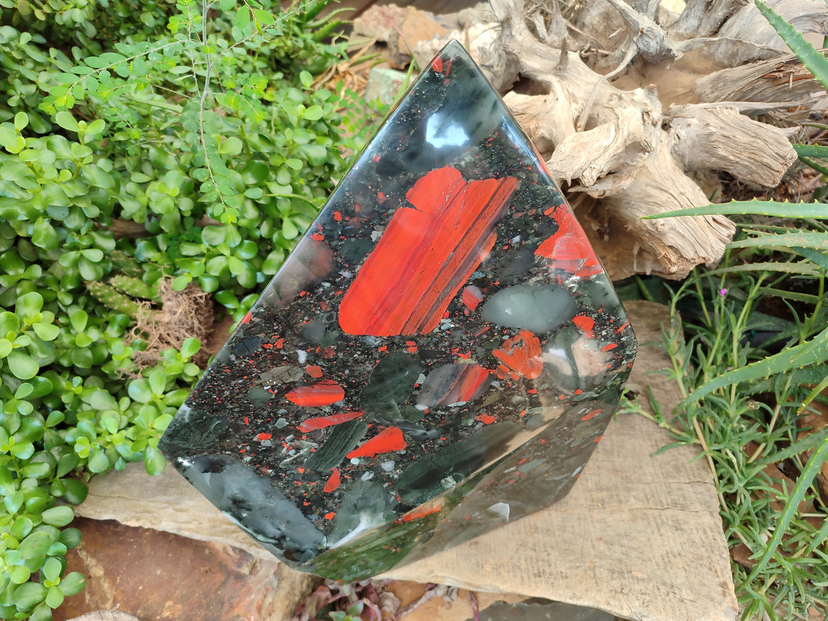 Polished Extra Large A Grade Bloodstone Display Piece x 1 From Swaziland - Toprock Gemstones and Minerals 