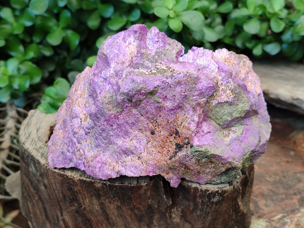 Natural Stichtite Specimens x 3 From Barberton, South Africa - Toprock Gemstones and Minerals 