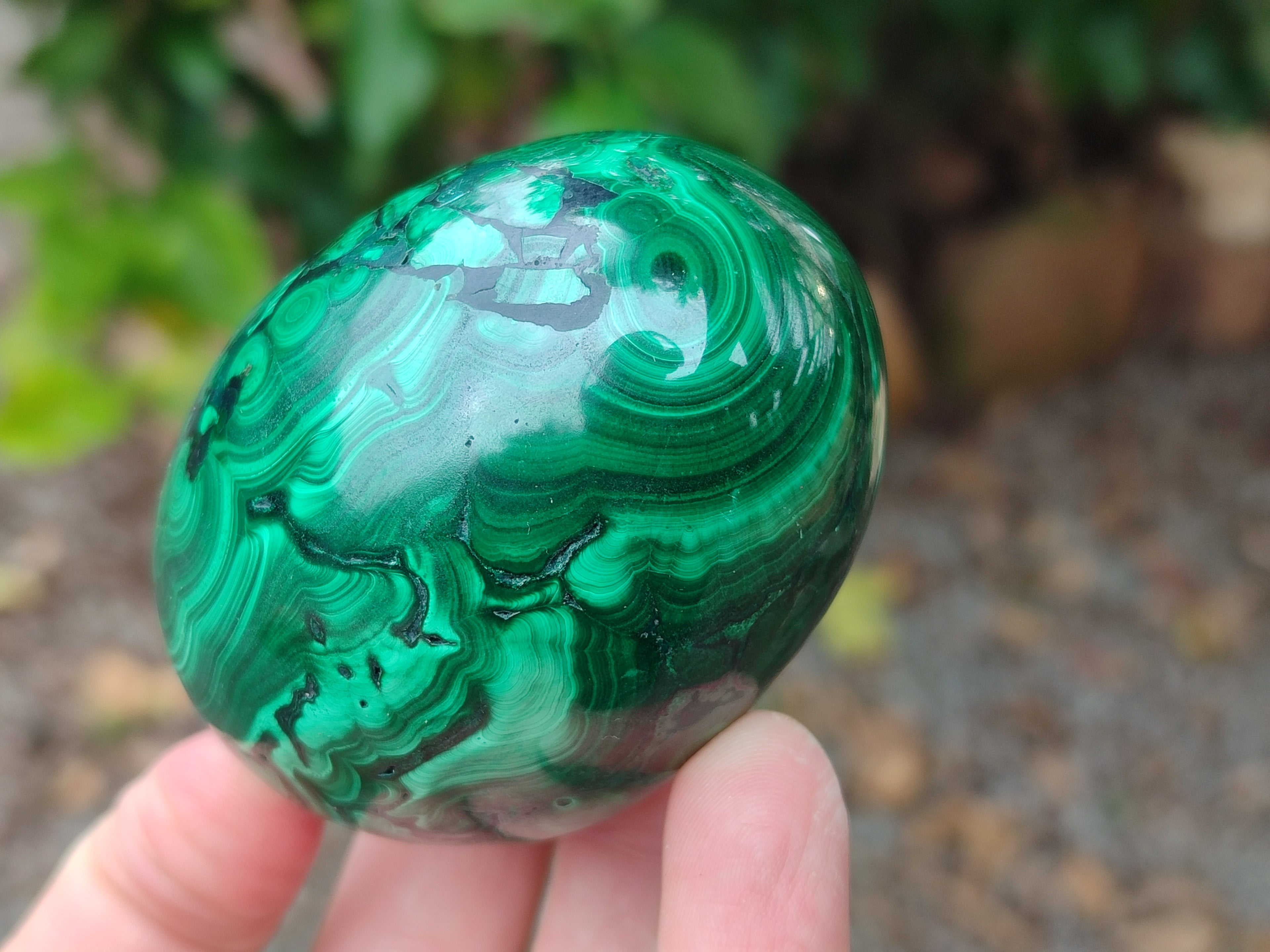 Polished Flower Banded Malachite Eggs x 4 From Congo - Toprock Gemstones and Minerals 