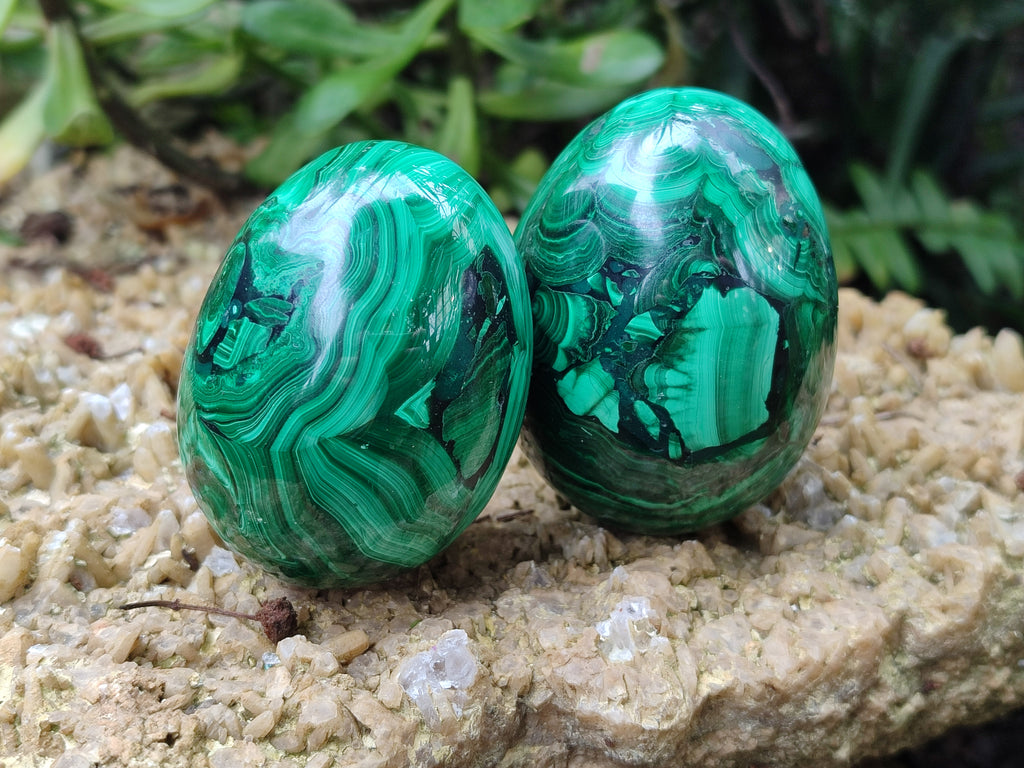 Polished Flower Banded Malachite Eggs x 4 From Congo - Toprock Gemstones and Minerals 