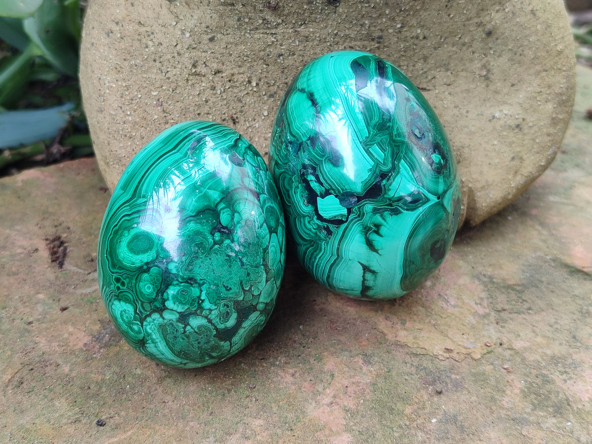 Polished Flower Banded Malachite Eggs x 4 From Congo - Toprock Gemstones and Minerals 