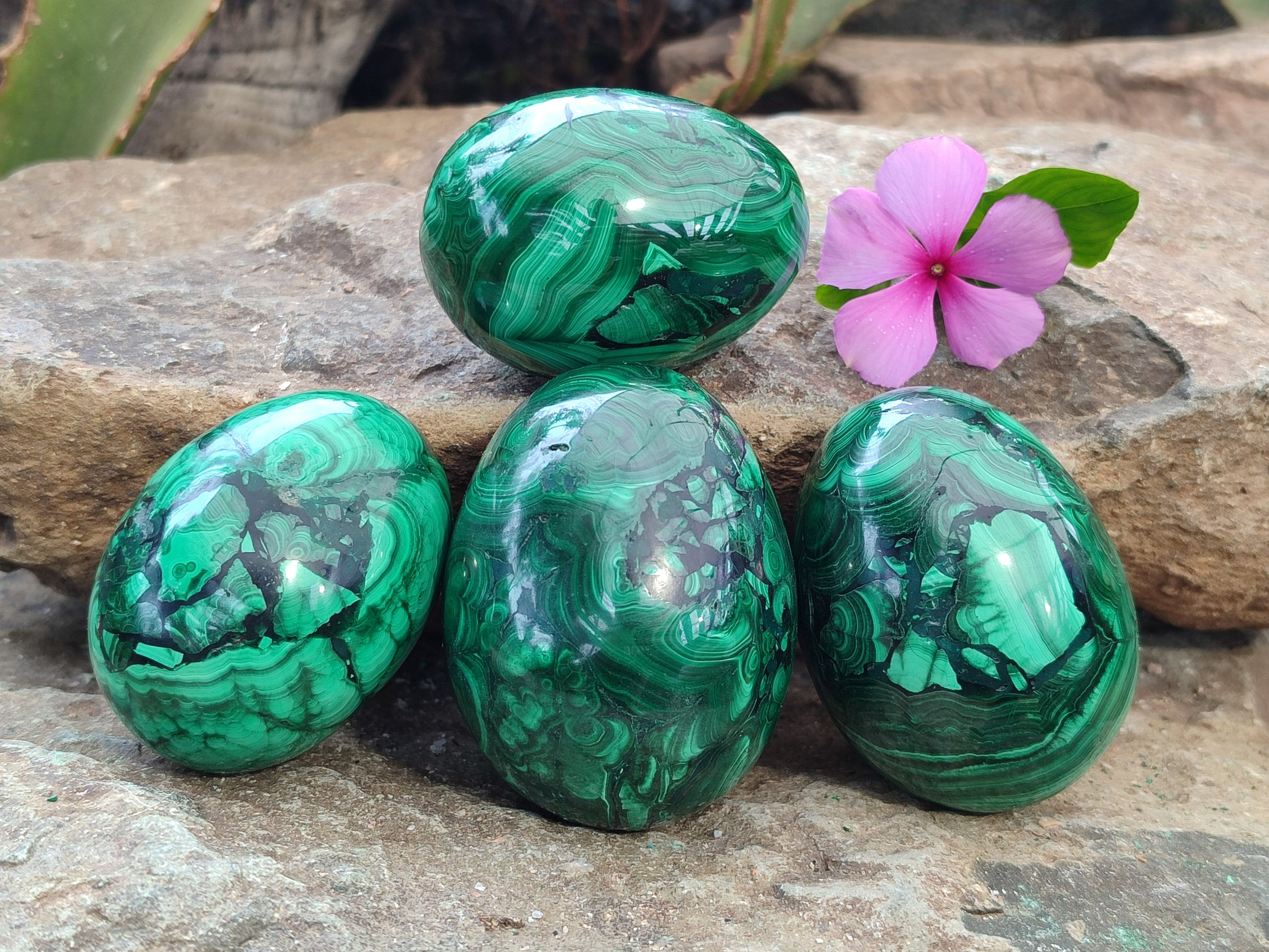Polished Flower Banded Malachite Eggs x 4 From Congo - Toprock Gemstones and Minerals 