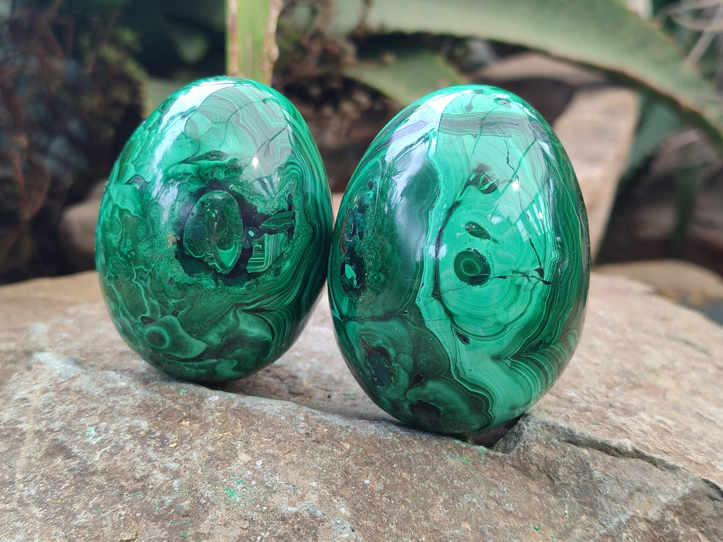 Polished Flower Banded Malachite Eggs x 4 From Congo - Toprock Gemstones and Minerals 