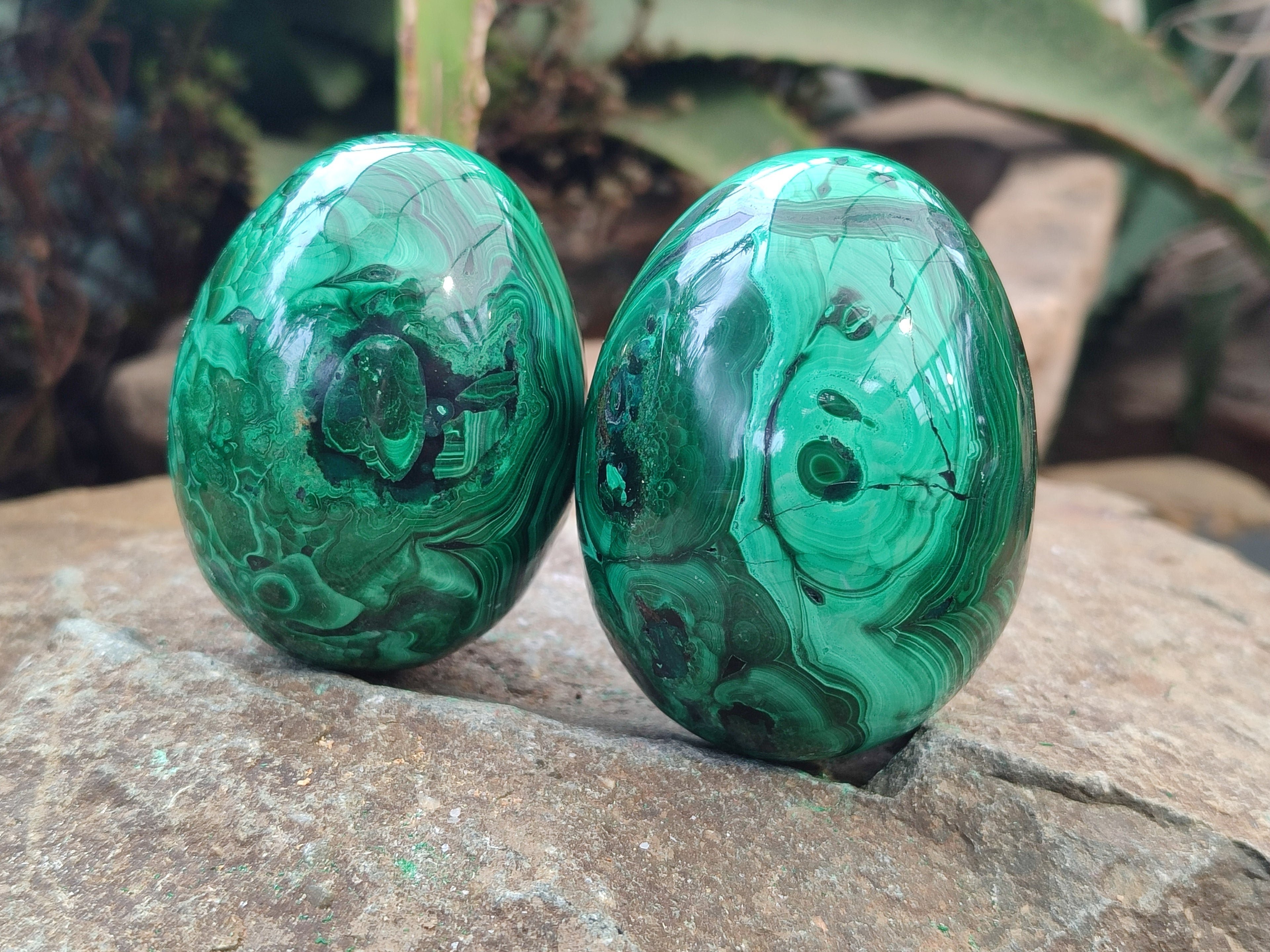 Polished Flower Banded Malachite Eggs x 4 From Congo - Toprock Gemstones and Minerals 