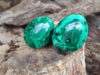 Polished Flower Banded Malachite Eggs x 4 From Congo - Toprock Gemstones and Minerals 