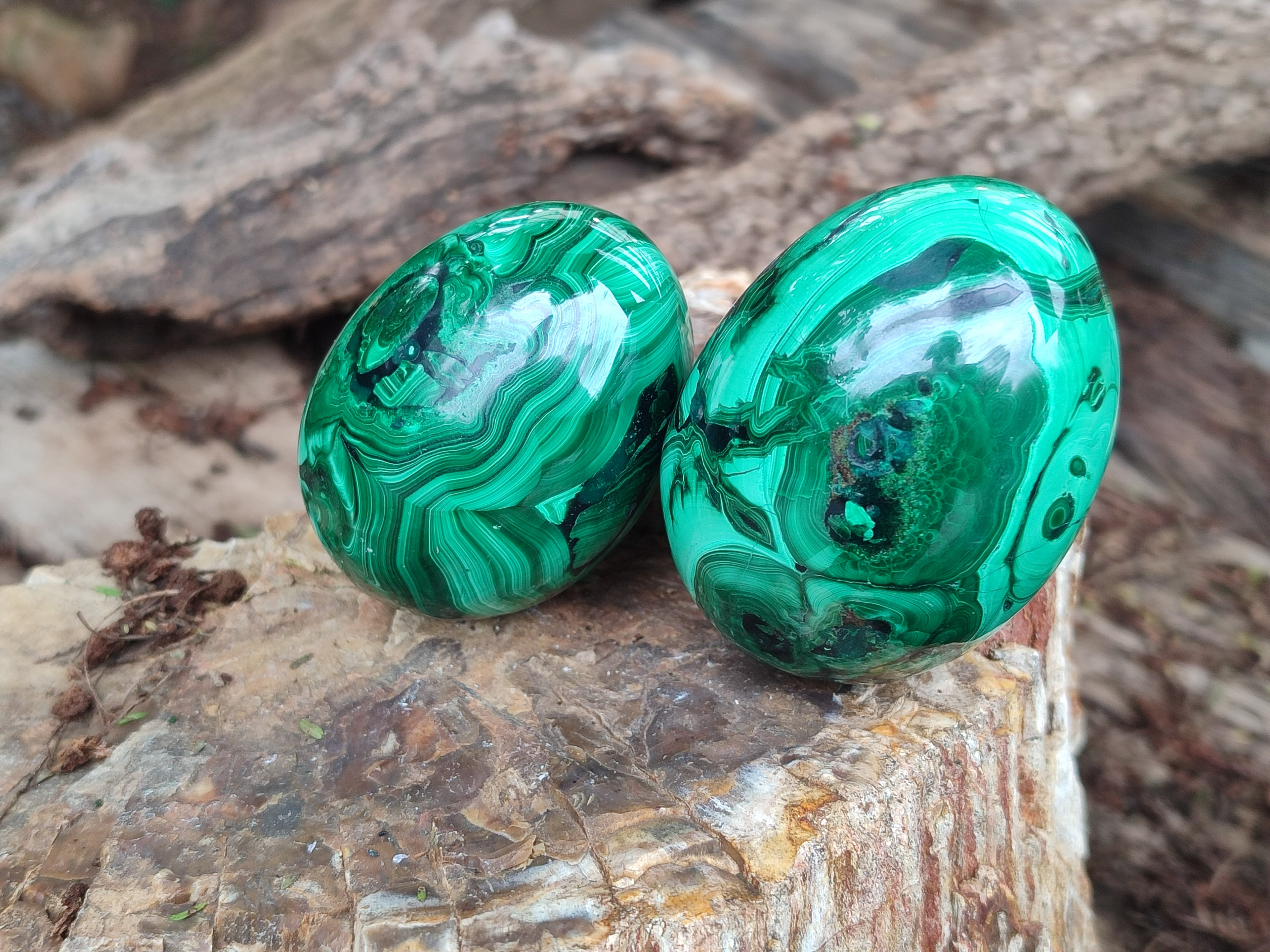 Polished Flower Banded Malachite Eggs x 4 From Congo - Toprock Gemstones and Minerals 