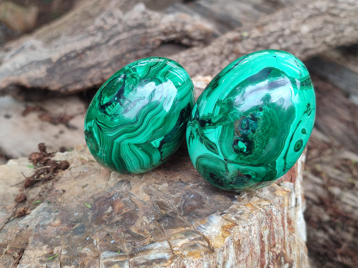Polished Flower Banded Malachite Eggs x 4 From Congo - Toprock Gemstones and Minerals 