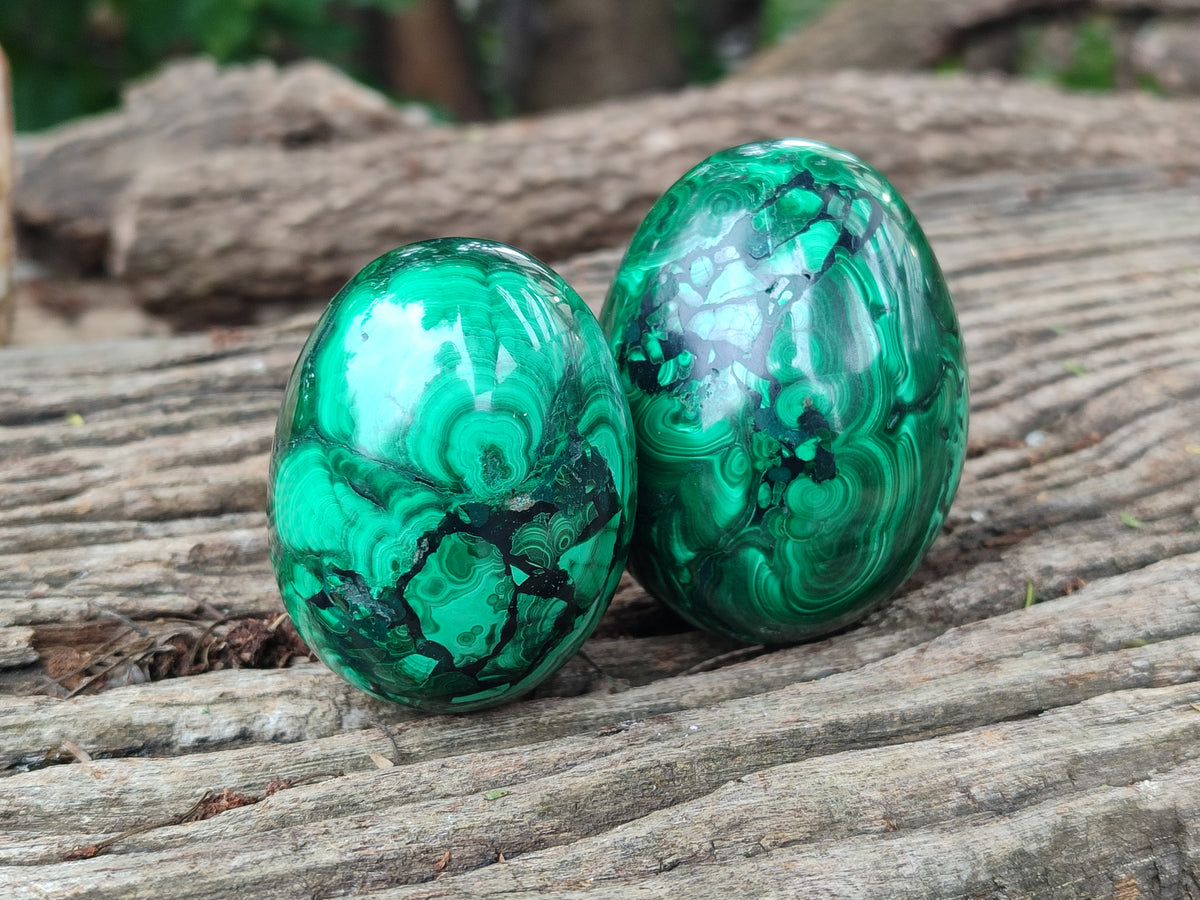 Polished Flower Banded Malachite Eggs x 4 From Congo - Toprock Gemstones and Minerals 