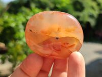 Polished Flower Agate Palm Stones x 24 From Madagascar - Toprock Gemstones and Minerals 