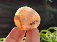 Polished Flower Agate Palm Stones x 24 From Madagascar - Toprock Gemstones and Minerals 